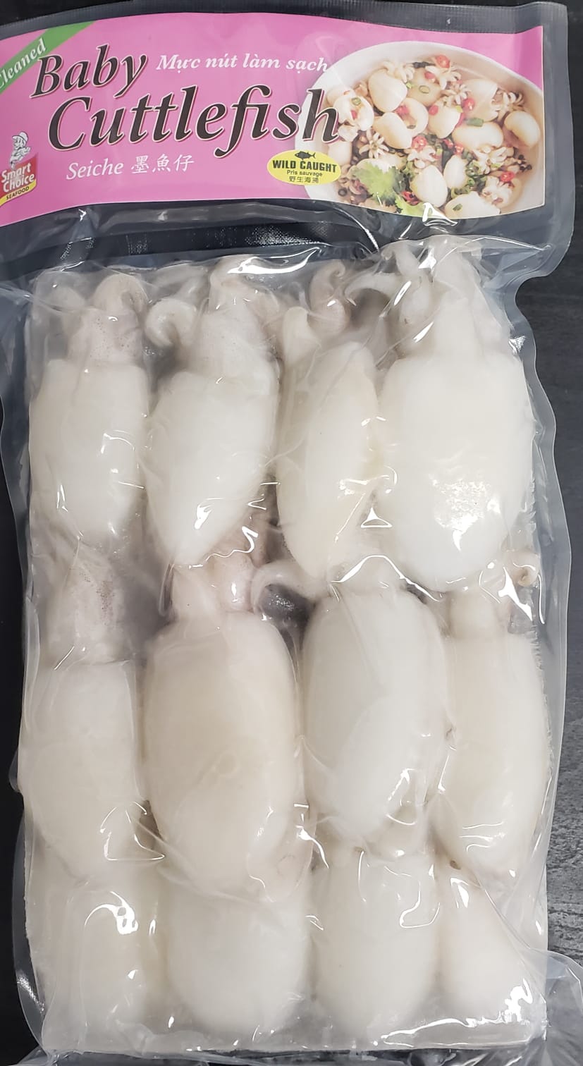 Baby Cuttlefish (20/40)